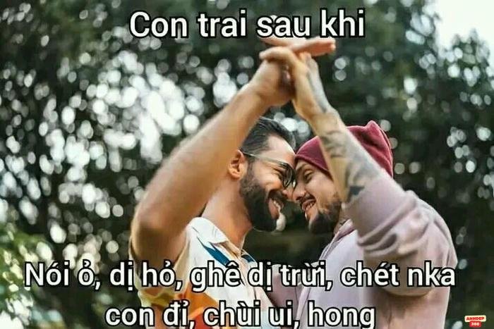 meme pictures biểu cảm lầy