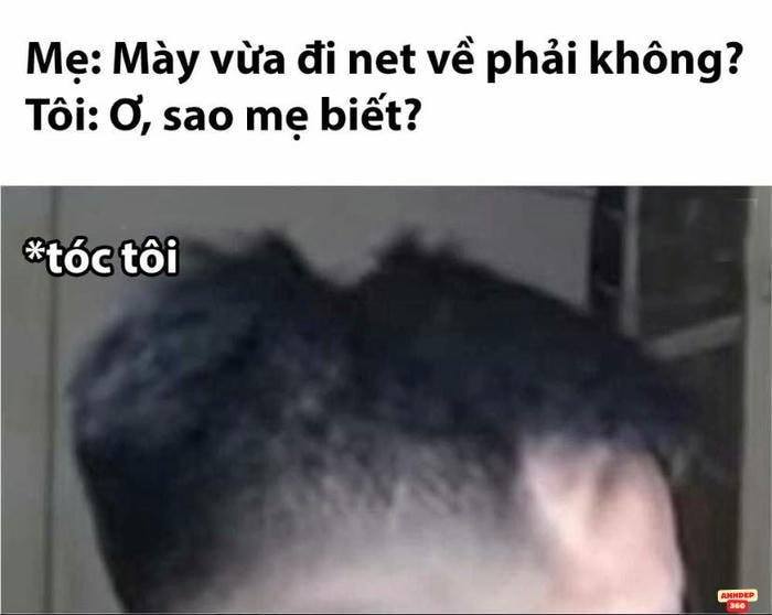 meme pictures chân thực 4k