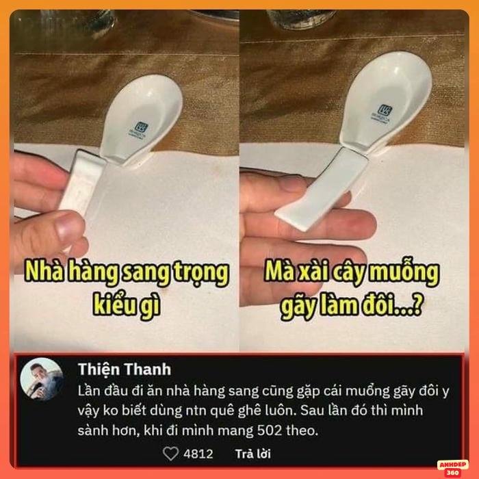 meme pictures sống động lầy