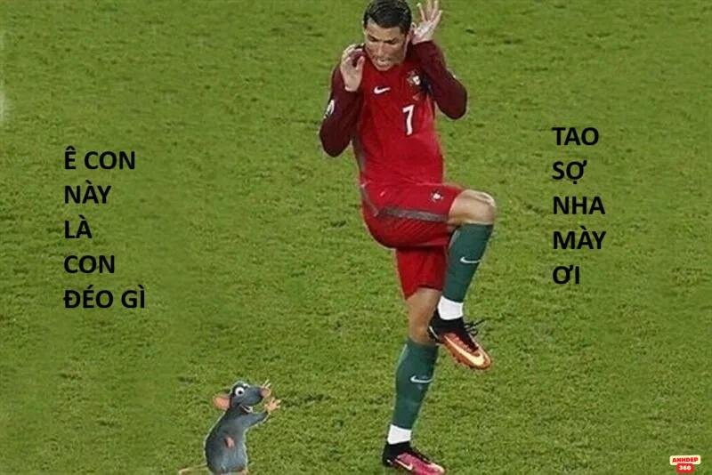 meme ronaldo 4k giải trí