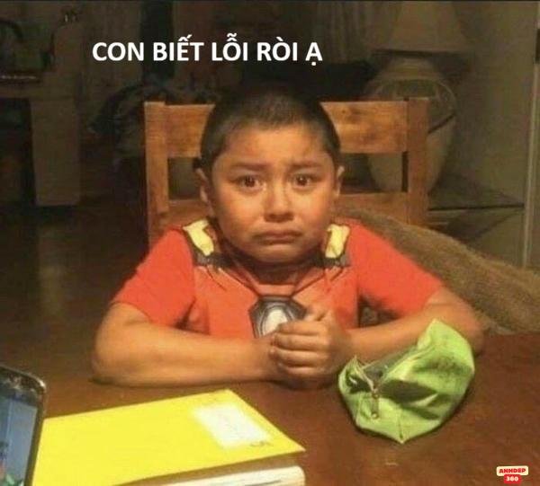 meme sợ hãi bé hài