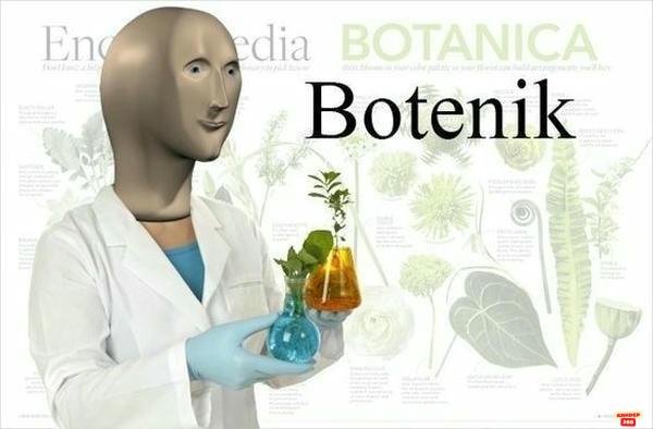 meme stonks bóng bẩy hd bựa