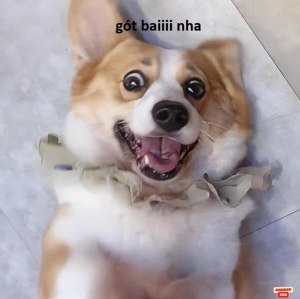 meme tạm biệt mạnh mẽ hd hài