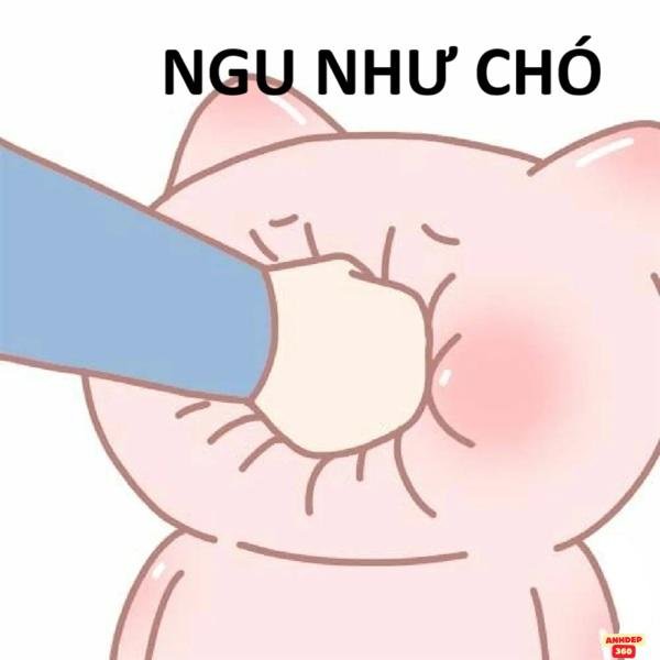 meme tát ấn tượng hd