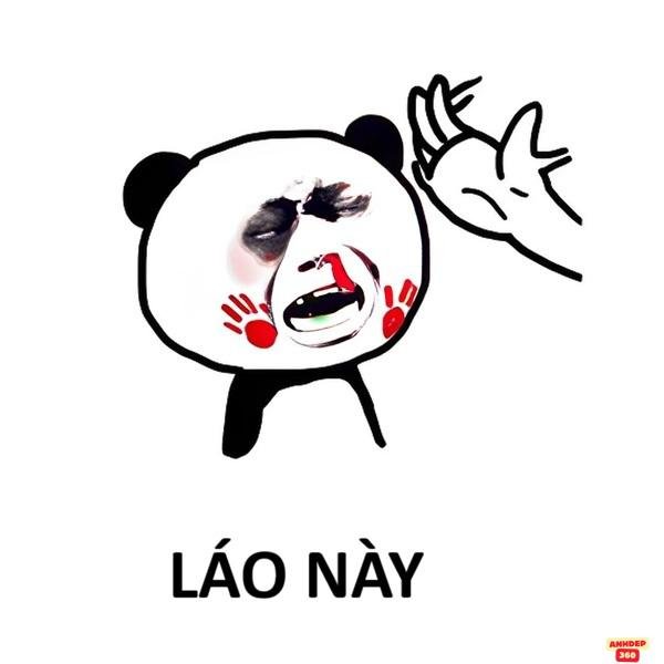 meme tát chi tiết cực hài