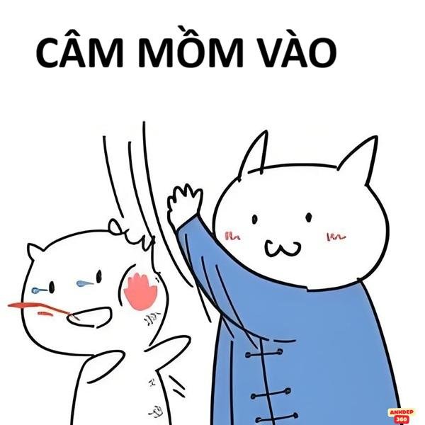 meme tát độc đáo 4k lầy