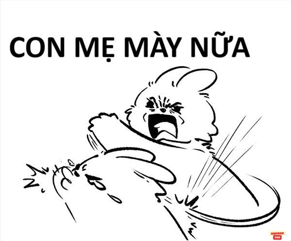 meme tát hd hài hước