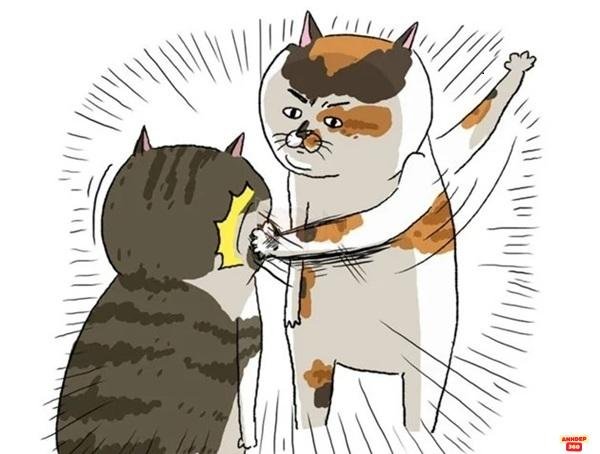 meme tát siêu lầy