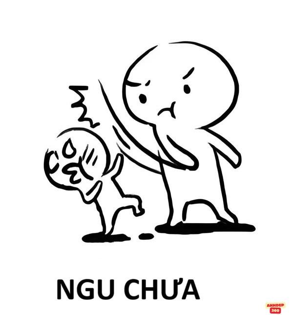 meme tát uy lực 4k bựa