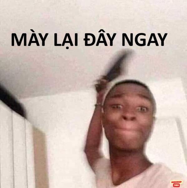 Cười ra nước mắt với ảnh meme tát “vô tri”