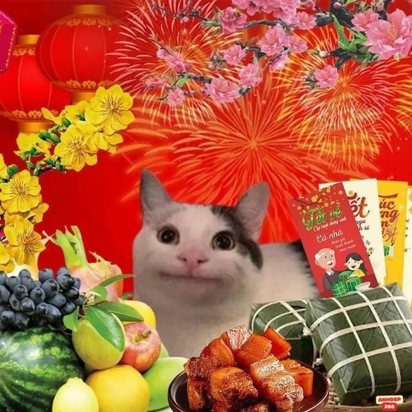 meme tết biểu cảm cực lầy