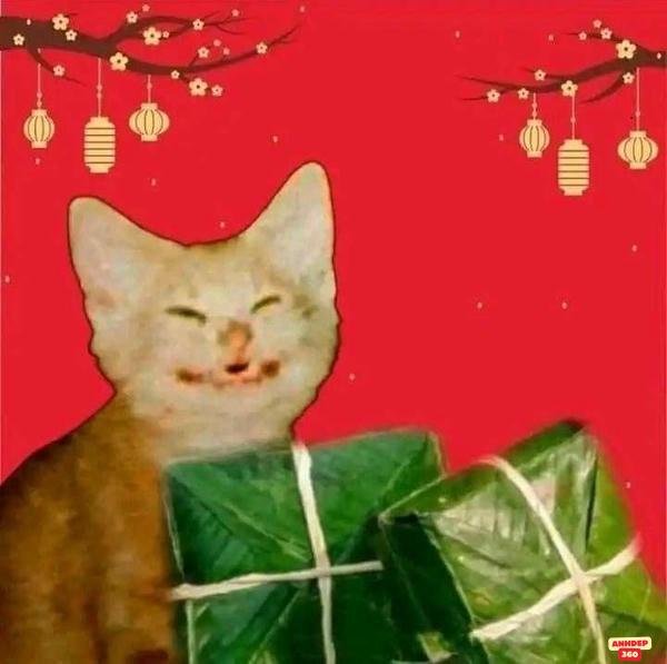 meme tết chất lượng cao