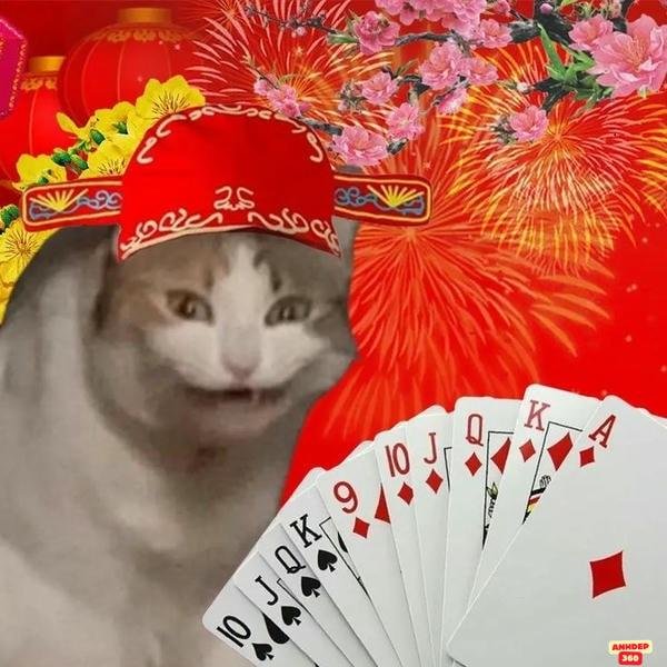 meme tết đồ họa đẹp