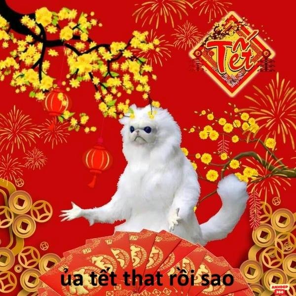 meme tết độc lạ hd