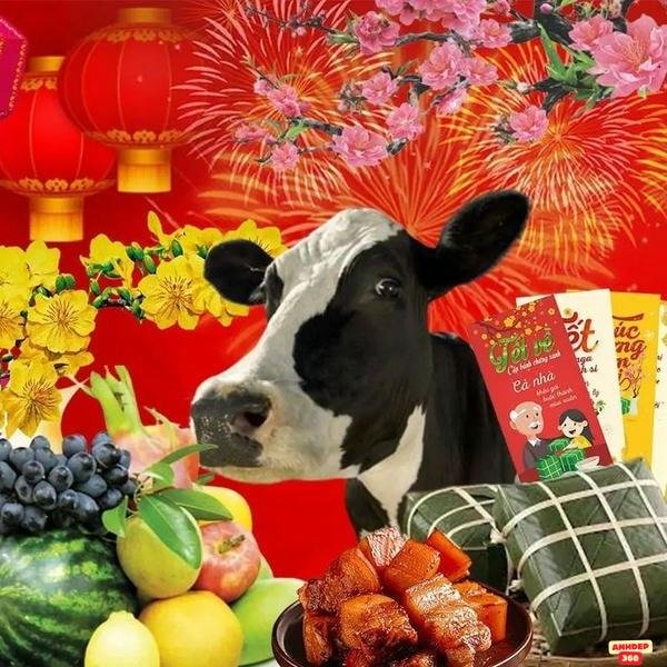 meme tết hd hài hước