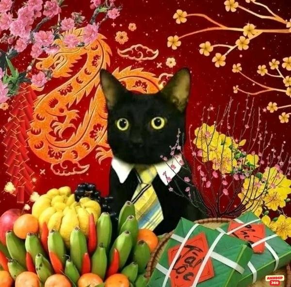 meme tết hd siêu thực bựa