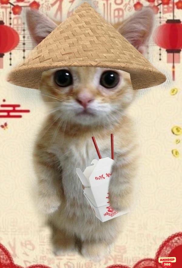 meme tết kịch tính 4k bựa