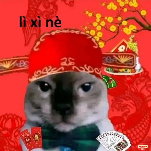 meme tết lôi cuốn 4k