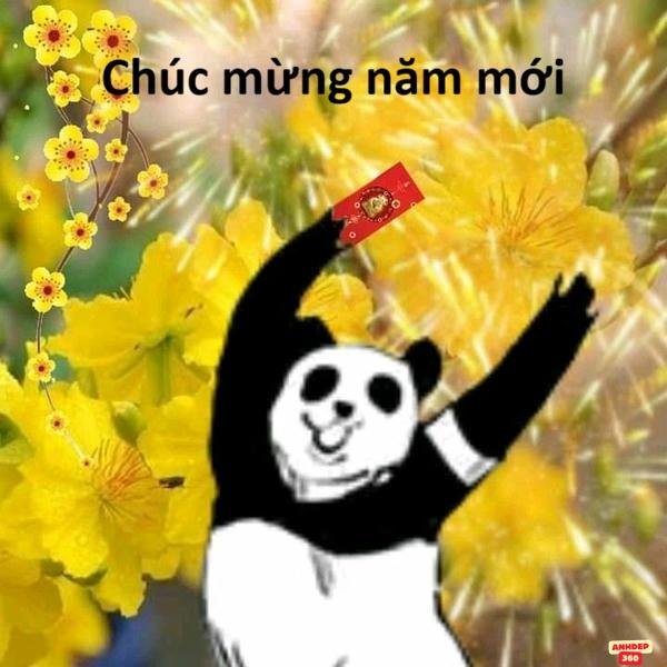 meme tết mạnh mẽ hd hài