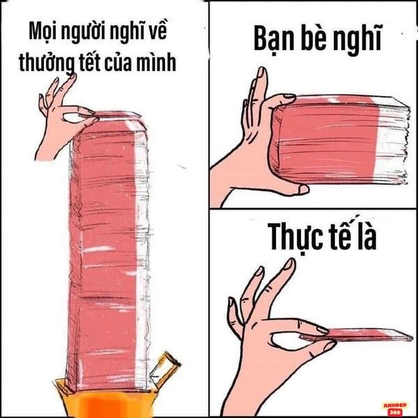 meme tết màu sắc hài