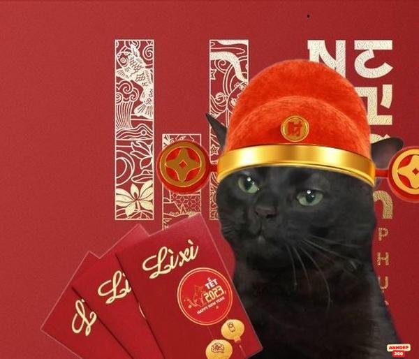 meme tết sáng chói hd