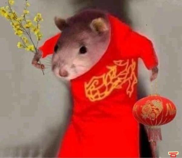 meme tết sống động hài