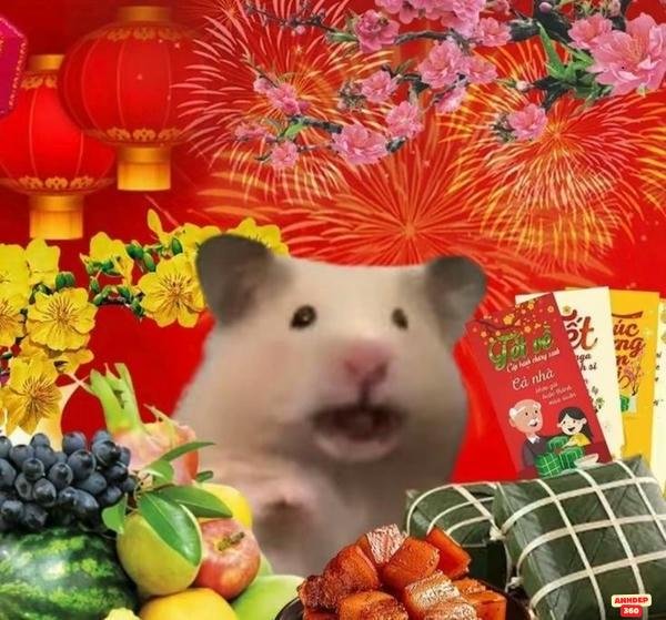 meme tết thu hút hd