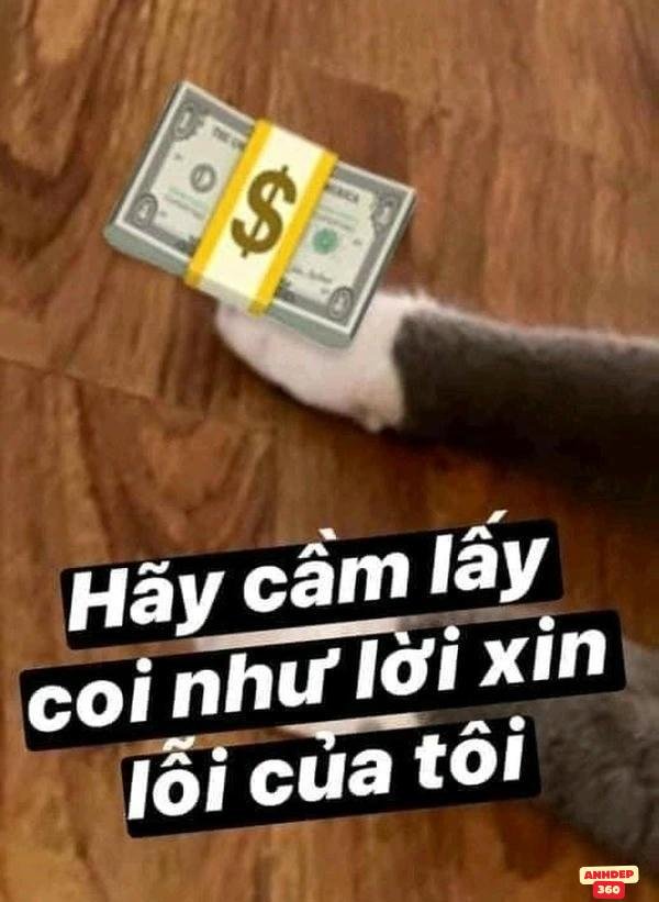 meme tiền cực kỳ độc lạ