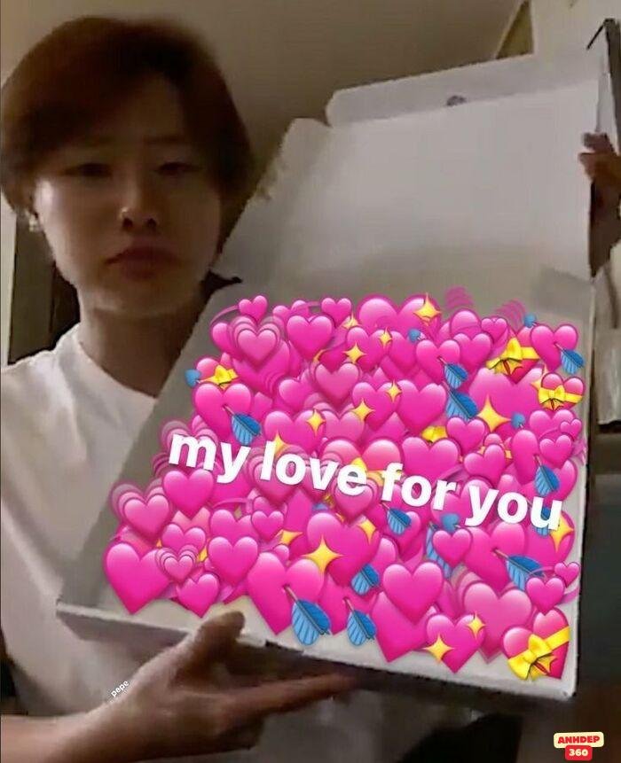 meme tình yêu cực hài