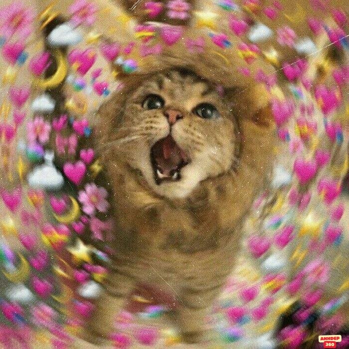 meme tình yêu cute