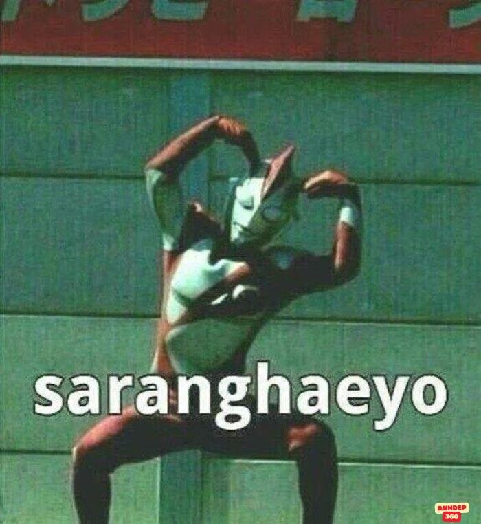 meme tình yêu siêu cute