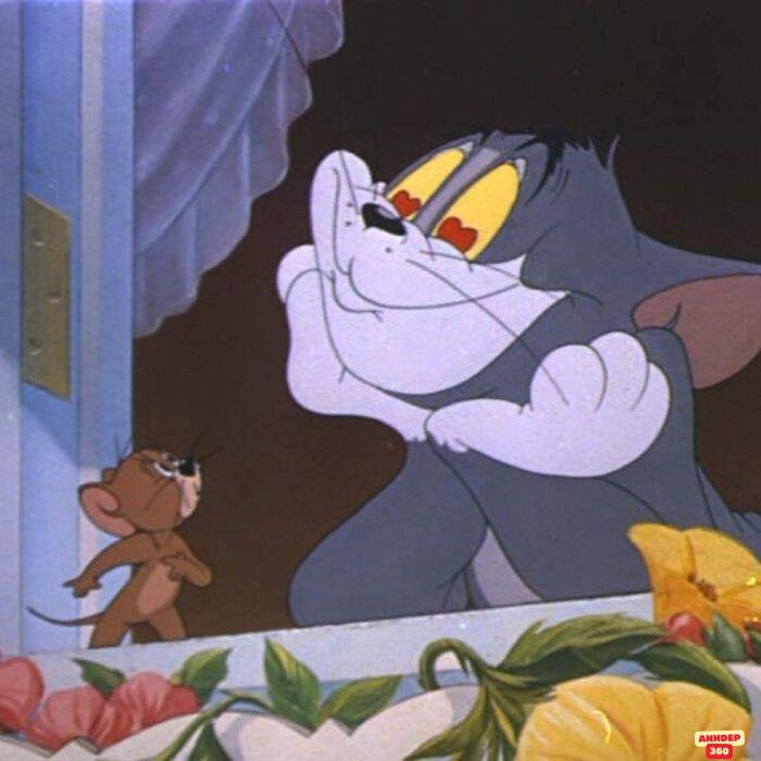 meme tom and jerry bựa hài