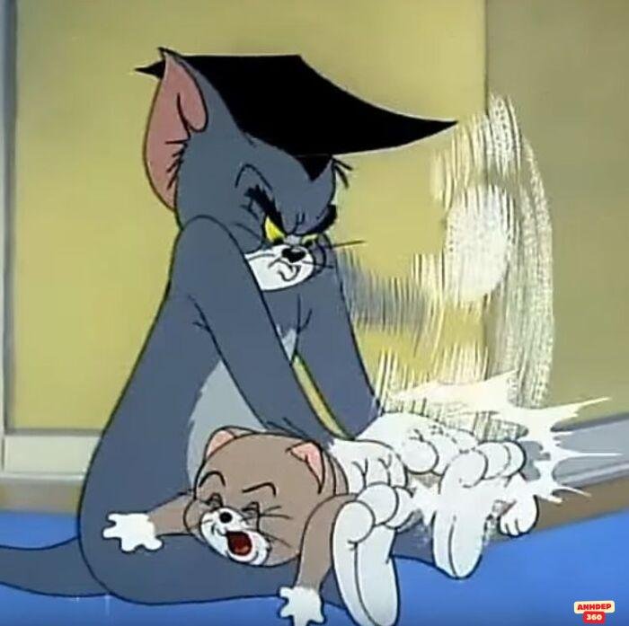 meme tom and jerry chế bựa