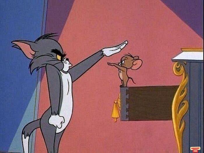 meme tom and jerry chế hài