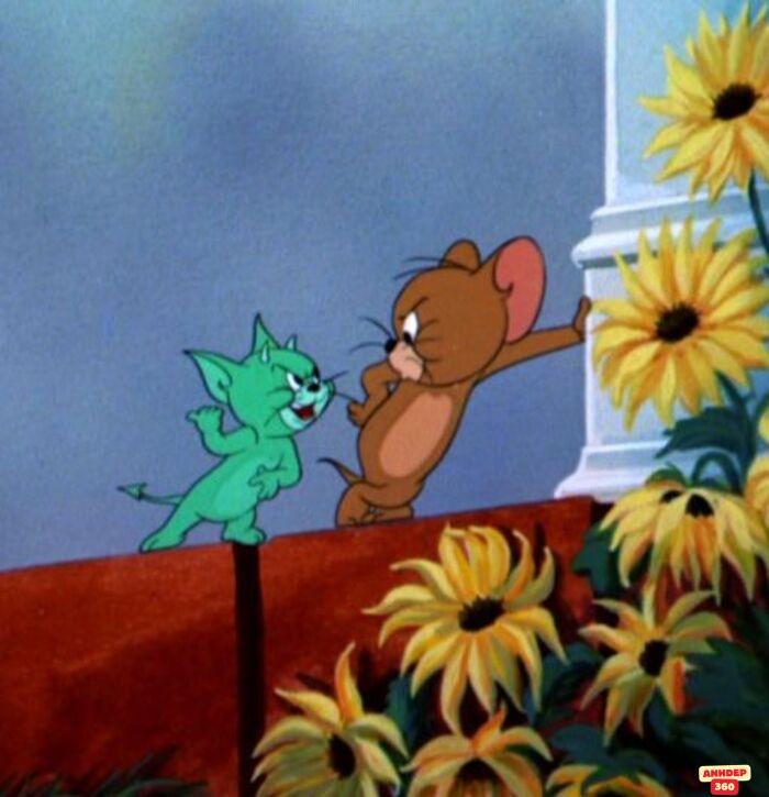meme tom and jerry cực hài