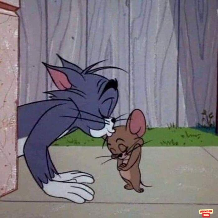 meme tom and jerry hài bựa
