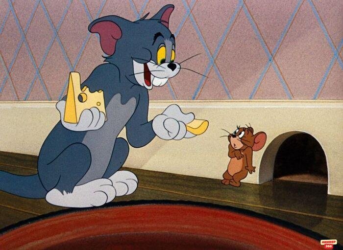 meme tom and jerry hài hước