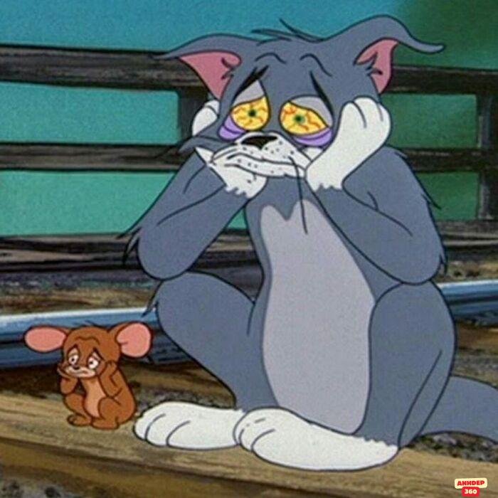 meme tom and jerry hài nhất
