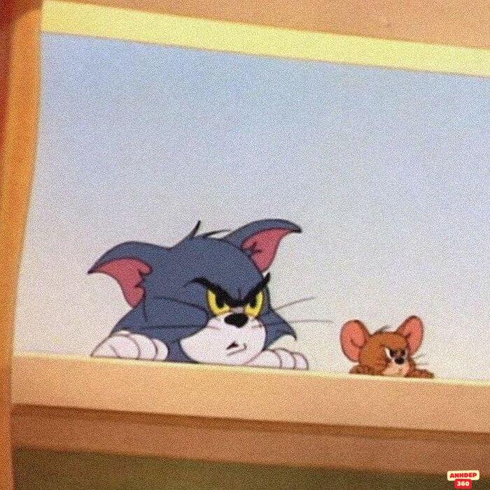 meme tom and jerry hài
