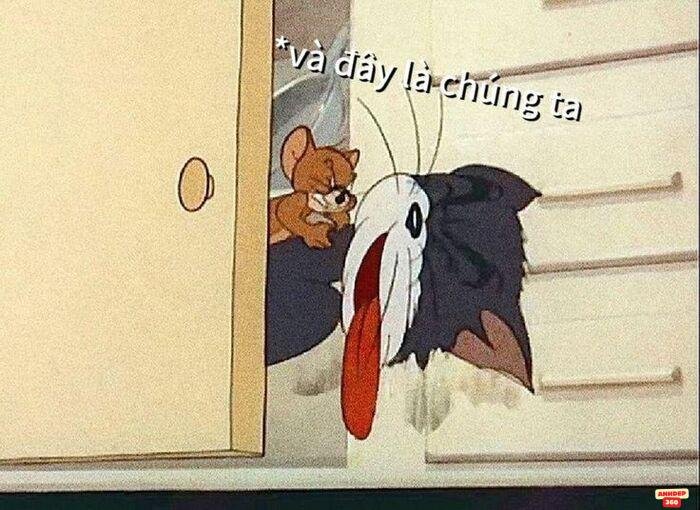 Top 200+ ảnh meme Tom and Jerry hài hước