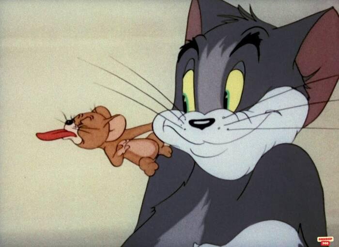 meme tom and jerry