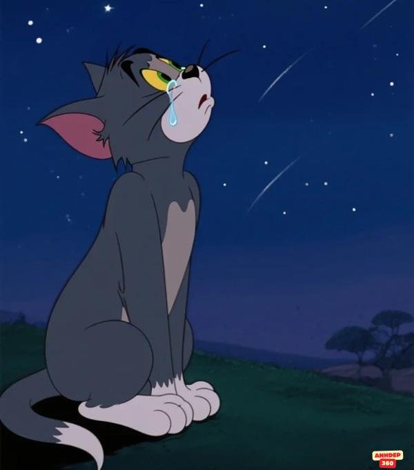 meme tom chân thực 4k