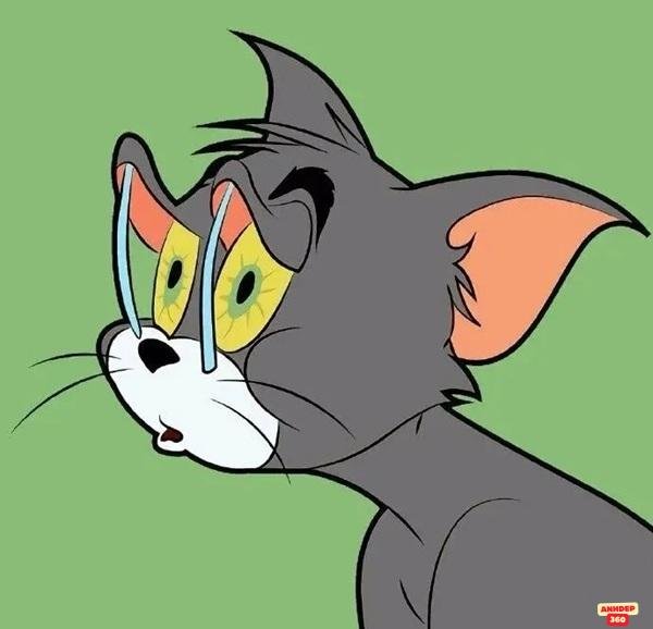 meme tom độc lạ hd