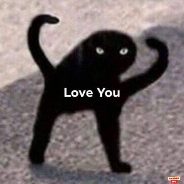 999+ Ảnh meme trái tim siêu đáng yêu để “thả thính”