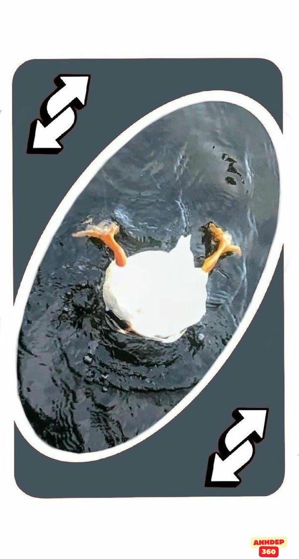 meme uno thẻ đổi chiều đẹp