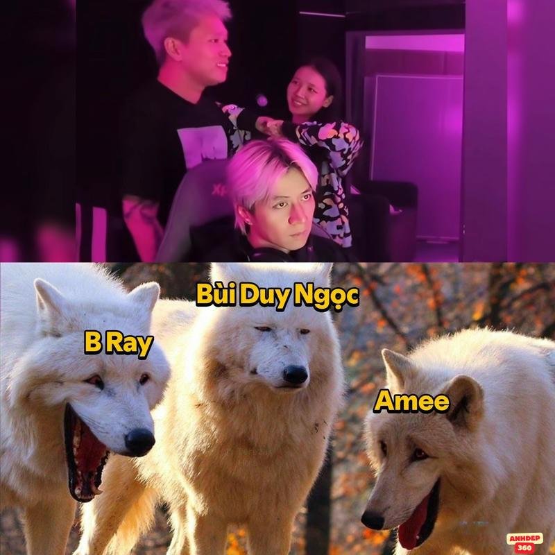 meme việt nam rực rỡ hd