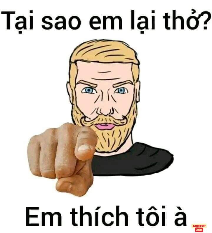 meme vui chế