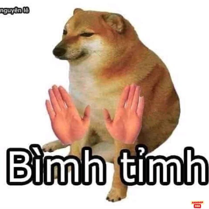 meme vui chó hài