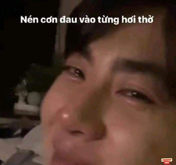 meme vui cực hài