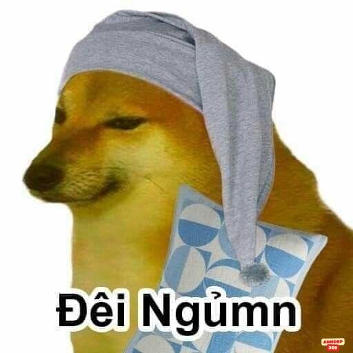 meme vui cún